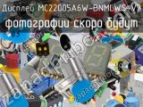 Дисплей MC22005A6W-BNMLWS-V2 