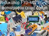 Индикатор FYD-4021BG-21