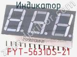 Индикатор FYT-5631DS-21