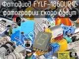 Фотодиод FYLF-1860UR1C 