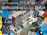 Индикатор FYS-8016BUY-21