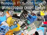 Матрица FYM-15881APG-11 