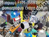 Матрица FYM-15881BPG-11 