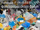 Матрица FYM-15881BUY-11 