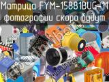 Матрица FYM-15881BUG-11