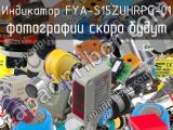 Индикатор FYA-S15ZUHRPG-01 