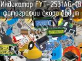 Индикатор FYT-2531AG-10