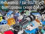 Индикатор FYD-8021BS-11 