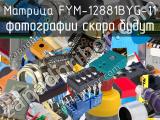 Матрица FYM-12881BYG-11 