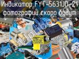 Индикатор FYT-5631JD-21