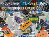 Индикатор FYD-5421CUG-21