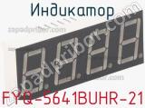 Индикатор FYQ-5641BUHR-21 