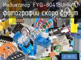 Индикатор FYQ-8041BUHR-11