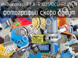 Индикатор FYA-R102510CUHRUG-11