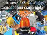 Индикатор FYS-50011FUG-11 