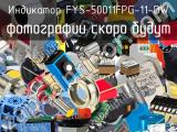 Индикатор FYS-50011FPG-11-DW 