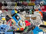 Индикатор FYS-50011FPG-11-DW