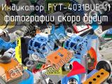 Индикатор FYT-4031BUE-11 