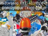 Индикатор FYT-4031BUY-11 