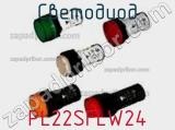 PL22SFLW24