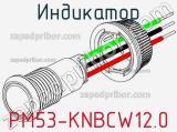 Индикатор PM53-KNBCW12.0 