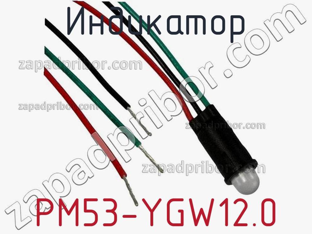 PM53-YGW12.0 - Индикатор - фотография.