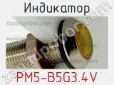 Индикатор PM5-B5G3.4V 