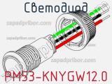 Светодиод PM53-KNYGW12.0 