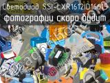 SSI-LXR1612ID16615