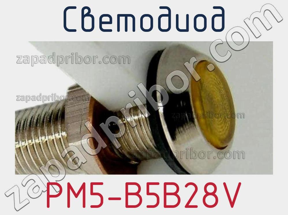 PM5-B5B28V - Светодиод - фотография. Увеличить. PM5-B5B28V - Светодиод - фотография.