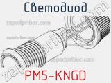 Светодиод PM5-KNGD 