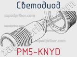 Светодиод PM5-KNYD 