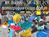 ЖК дисплей SK-43DCT 
