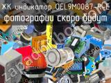 ЖК индикатор OEL9M0087-R-E