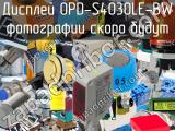 Дисплей OPD-S4030LE-BW 