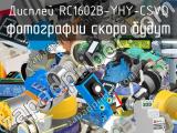 Дисплей RC1602B-YHY-CSVD 