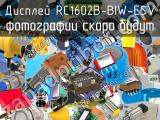 Дисплей RC1602B-BIW-ESV 