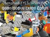 Светодиод FYLS-5050NUB3C