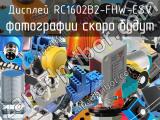 Дисплей RC1602B2-FHW-ESV 