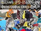 Дисплей OPD-D5630G-BW 