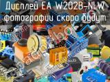Дисплей EA W202B-NLW 