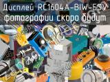 Дисплей RC1604A-BIW-ESV 