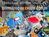 Светодиод OSYBMC5B31A-5V 