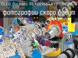 OLED дисплей REX009664AYPP3N00000