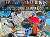 Светодиод NTE30141 