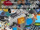 ЖК индикатор BC-1202A-GPGCH$