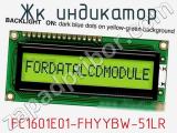 ЖК индикатор FC1601E01-FHYYBW-51LR 
