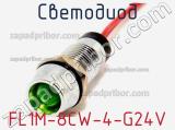 FL1M-8CW-4-G24V