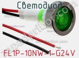FL1P-10NW-1-G24V