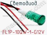 FL1P-10QW-1-G12V